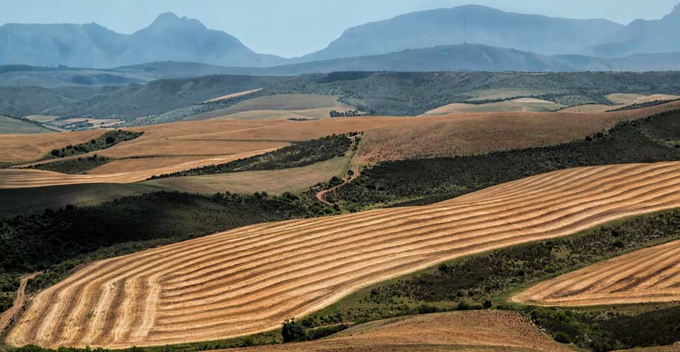 Vittone macchine agricole